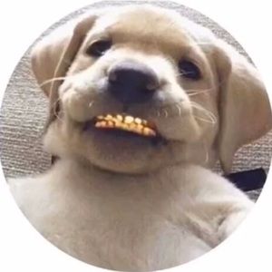 Meet your Posher, Jøšë